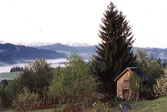 ausblick
